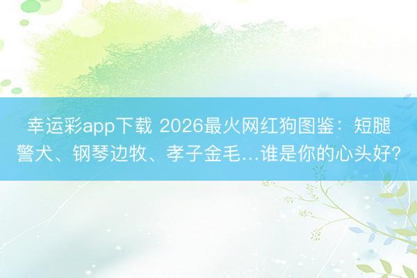 幸运彩app下载 2026最火网红狗图鉴：短腿警犬、钢琴边牧、孝子金毛…谁是你的心头好?