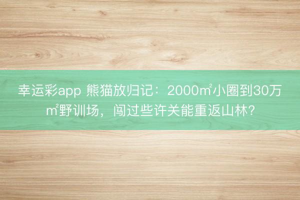 幸运彩app 熊猫放归记：2000㎡小圈到30万㎡野训场，闯过些许关能重返山林?