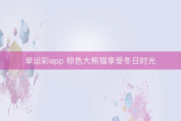 幸运彩app 棕色大熊猫享受冬日时光