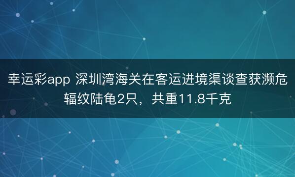幸运彩app 深圳湾海关在客运进境渠谈查获濒危辐纹陆龟2只，共重11.8千克