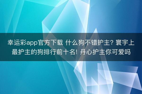 幸运彩app官方下载 什么狗不错护主? 寰宇上最护主的狗排行前十名! 丹心护主你可爱吗