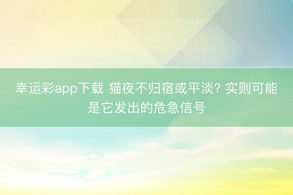 幸运彩app下载 猫夜不归宿或平淡? 实则可能是它发出的危急信号