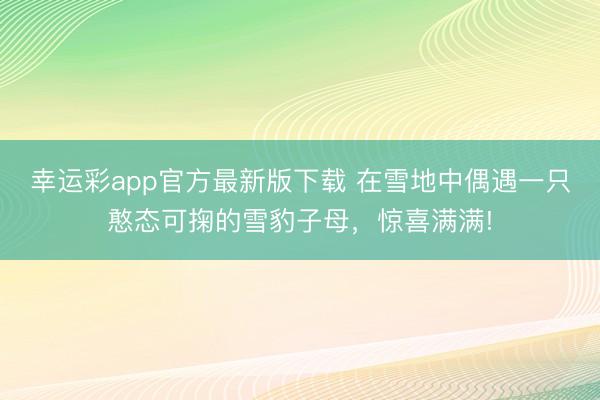 幸运彩app官方最新版下载 在雪地中偶遇一只憨态可掬的雪豹子母，惊喜满满!