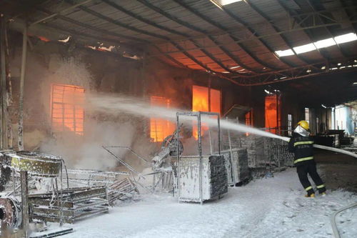 阳江一工厂发生火灾,95名消防员鏖战8小时灭火