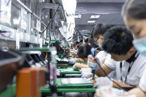 深圳西乡那个晚上,我资助的女大学生,来工厂外的出租屋找我温存