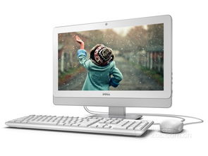 高配低价 戴尔一体机3010 1807w烟台促销